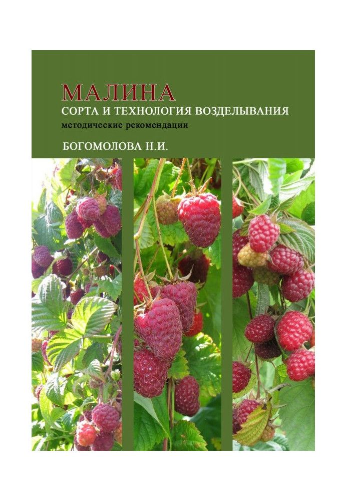 Малина: сорти та технологія обробітку (методичні рекомендації)