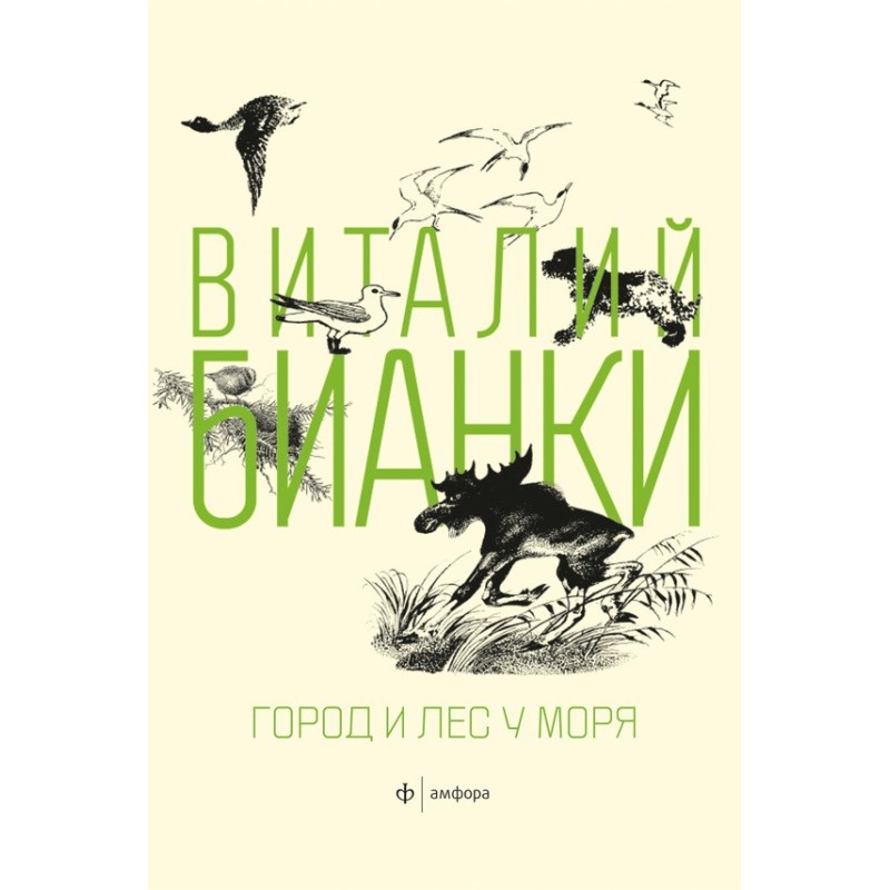 Місто та ліс біля моря