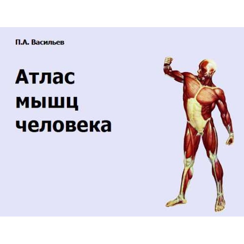 Human Muscle Atlas