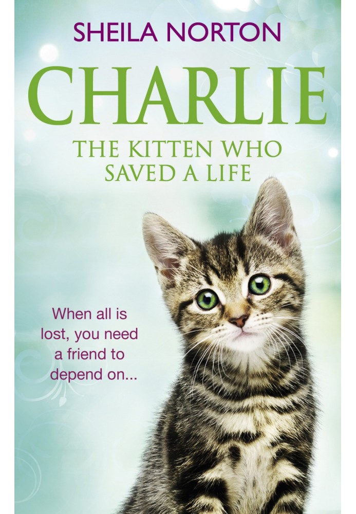 Charlie The Kitten Who Saved A Life