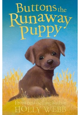 Buttons the Runaway Puppy