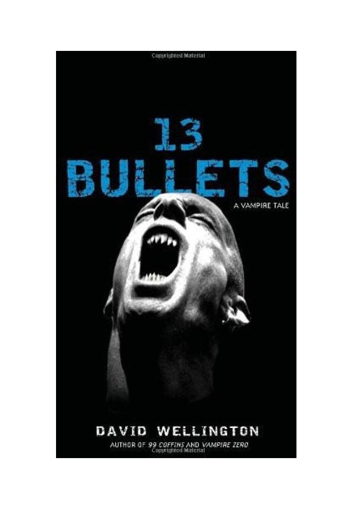 13 Bullets