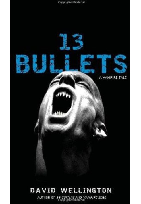 13 Bullets