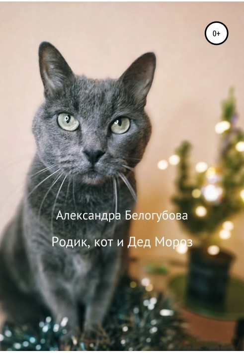 Rodik, the cat and Santa Claus