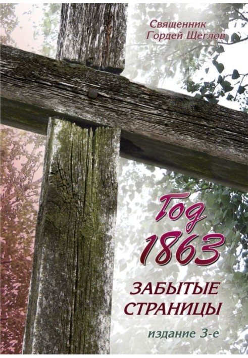 Год 1863. Забытые страницы