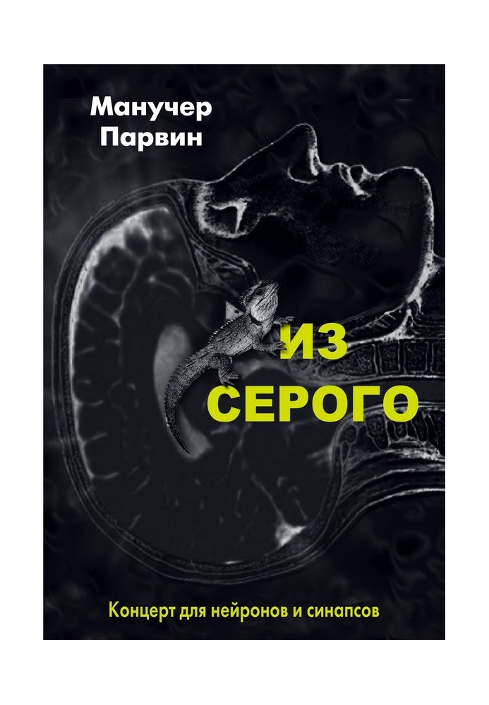 Із сірого. Концерт для нейронів та синапсів