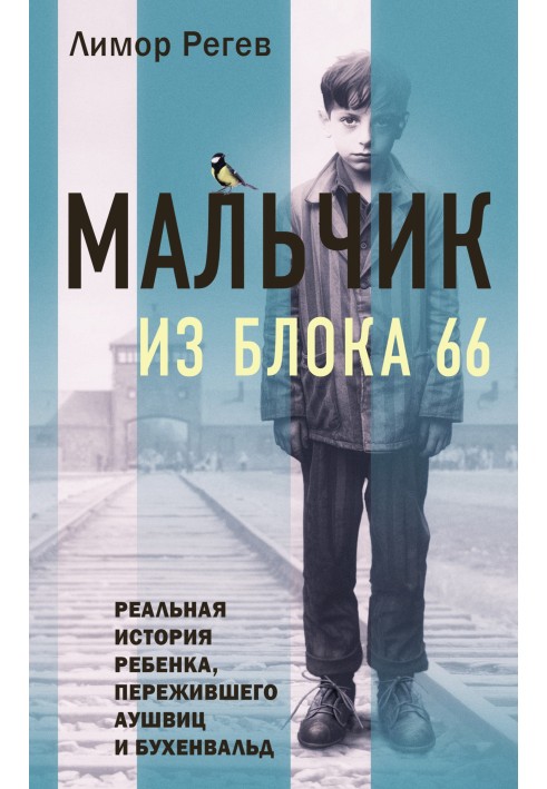 Хлопчик із Блоку 66. Реальна історія дитини, яка пережила Аушвіц та Бухенвальд