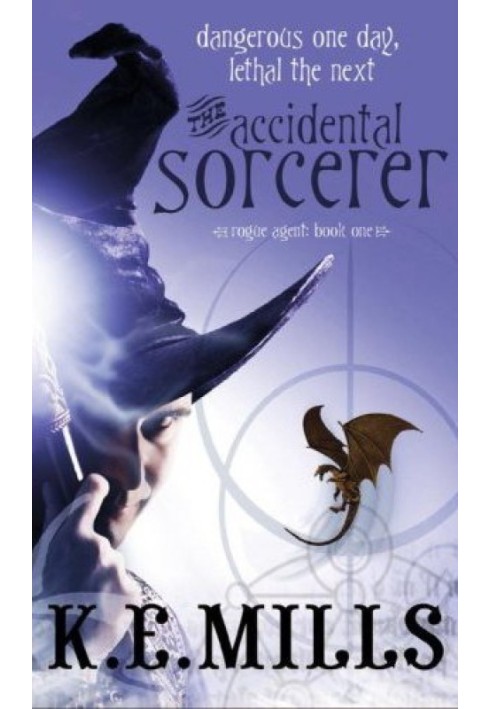 The Accidental sorcerer