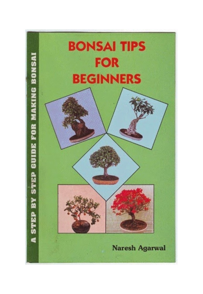 Bonsai Tips for Beginners