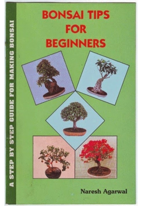 Bonsai Tips for Beginners