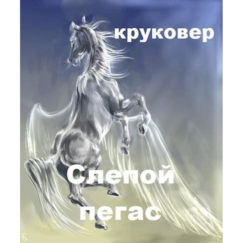 Слепой Пегас или БОМЖ с...
