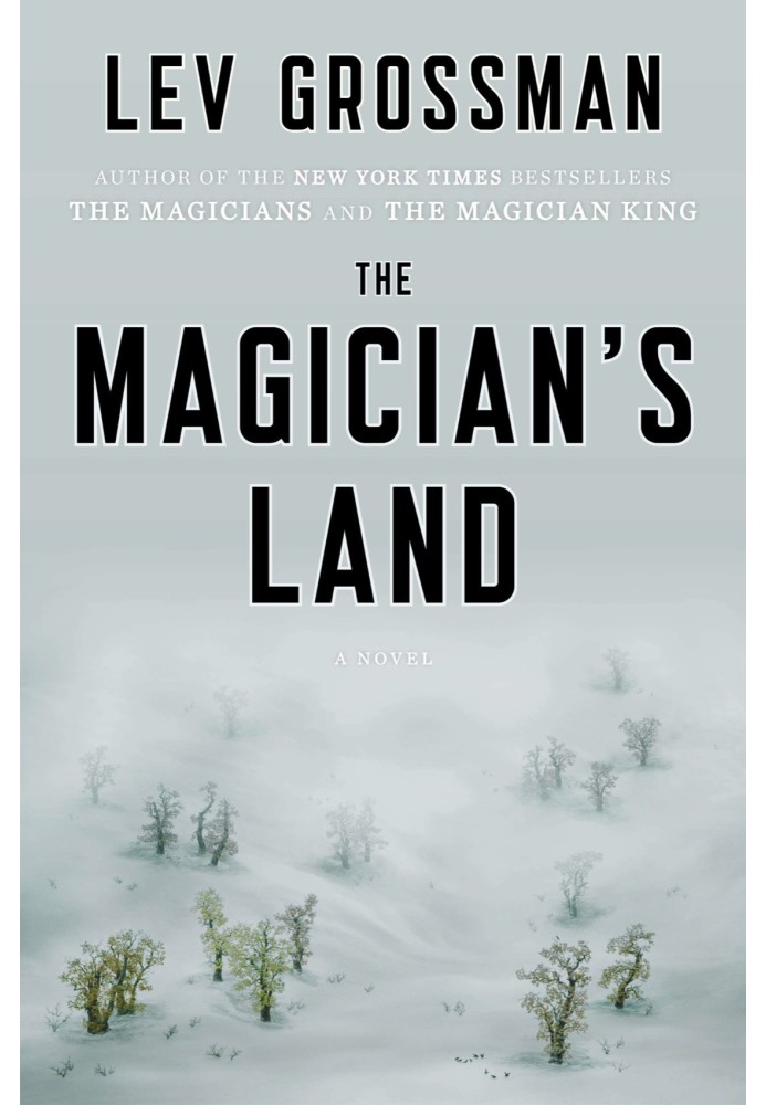 The Magician's Land