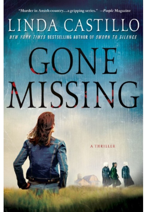 Gone Missing (Kate Burkholder 4)