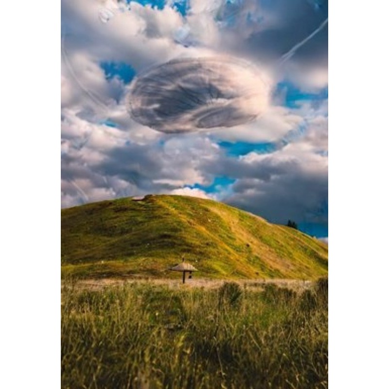 Force is measured in newtons