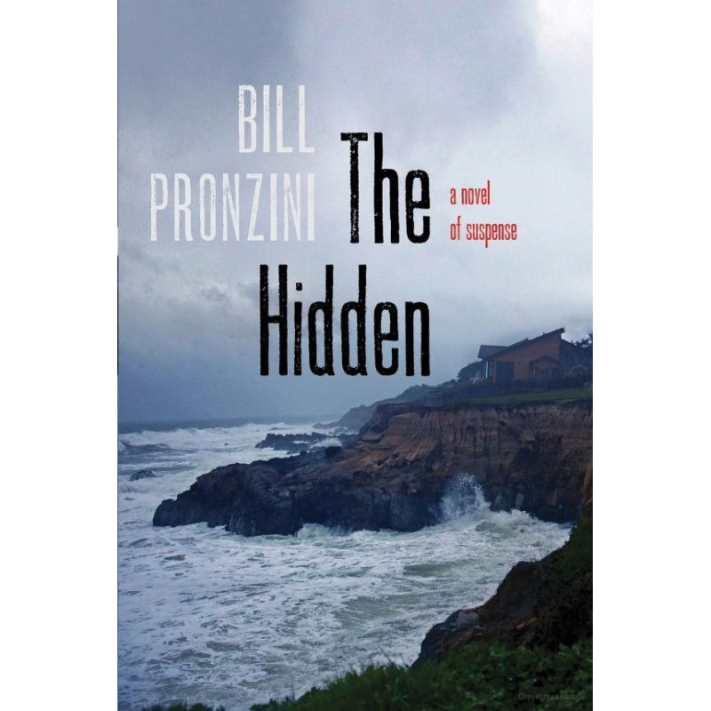 The Hidden: A Novel of...