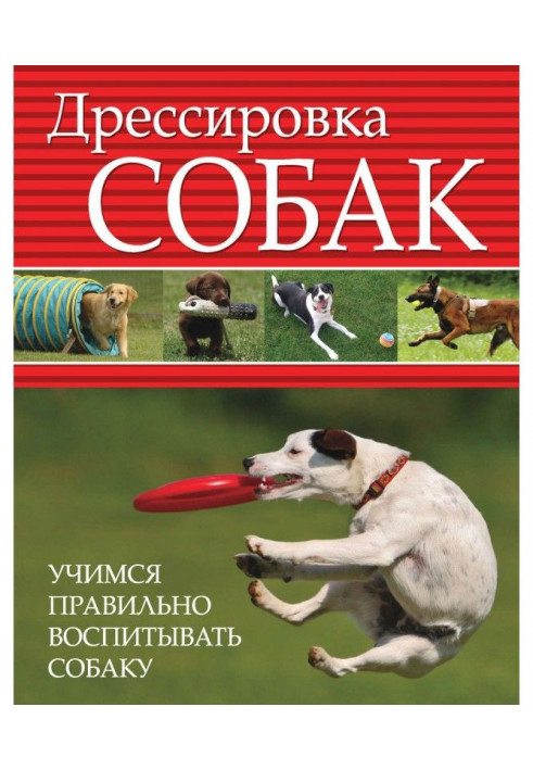 Дресирування собак. Вчимося правильно виховувати собаку