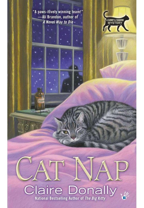 Cat Nap