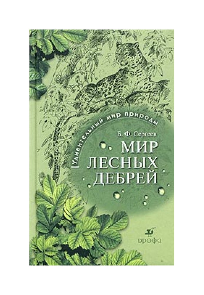 Світ лісових нетрів