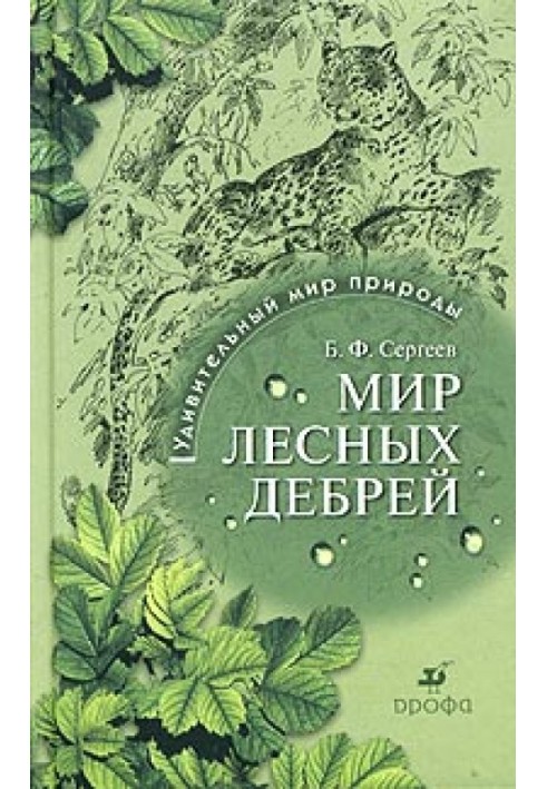 Мир лесных дебрей