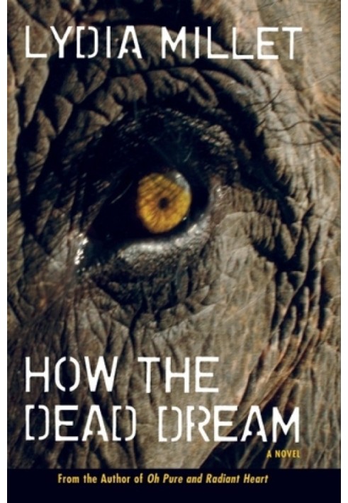 How the Dead Dream