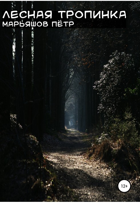 Forest Path