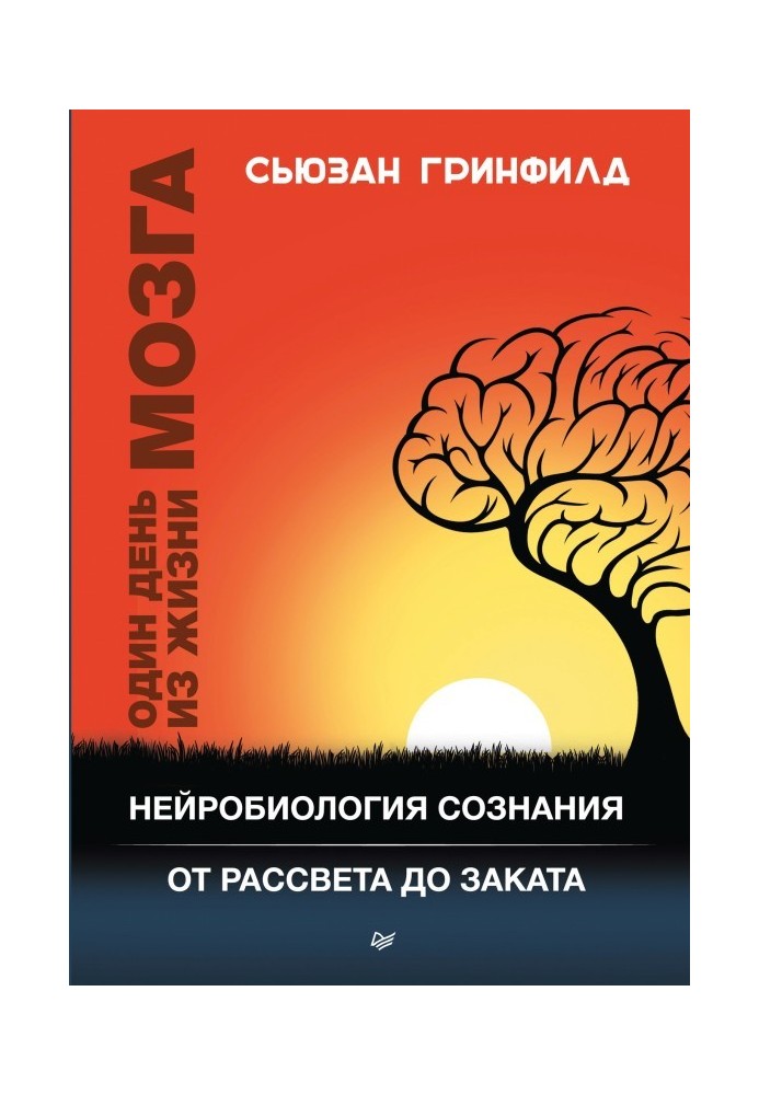 Один день из жизни мозга. Нейробиология сознания от рассвета до заката