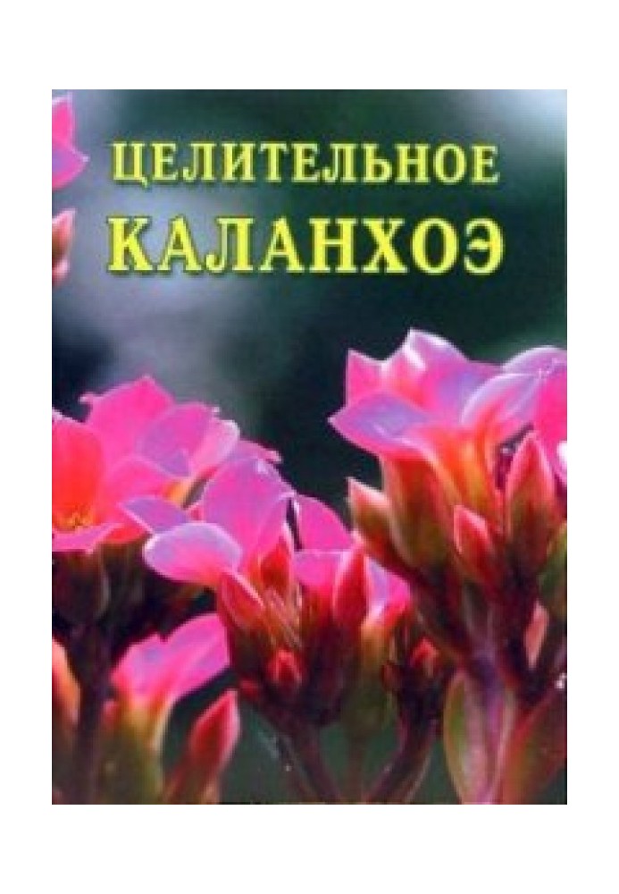 Цілюще каланхое