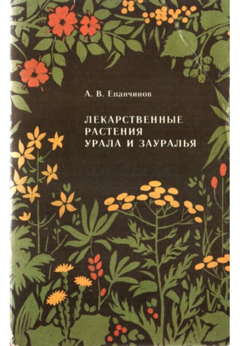 Лікарські рослини Уралу та Зауралля