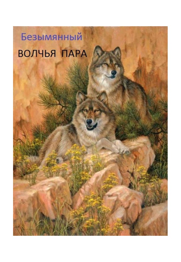 Wolf couple