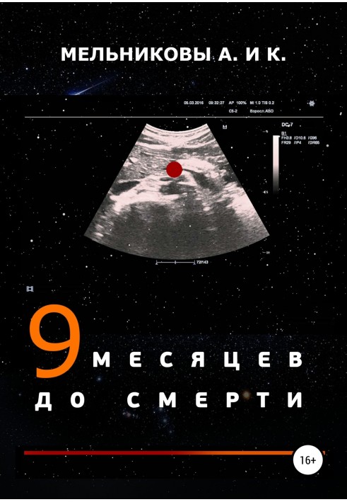 9 місяців до смерті