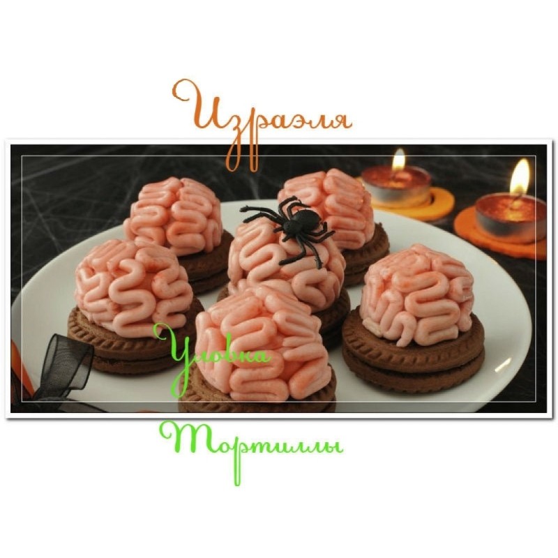 Виверт Тортили