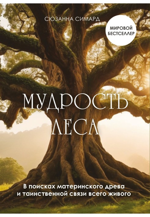 Wisdom of the forest. In search of the maternal tree and the mysterious connection of all living things