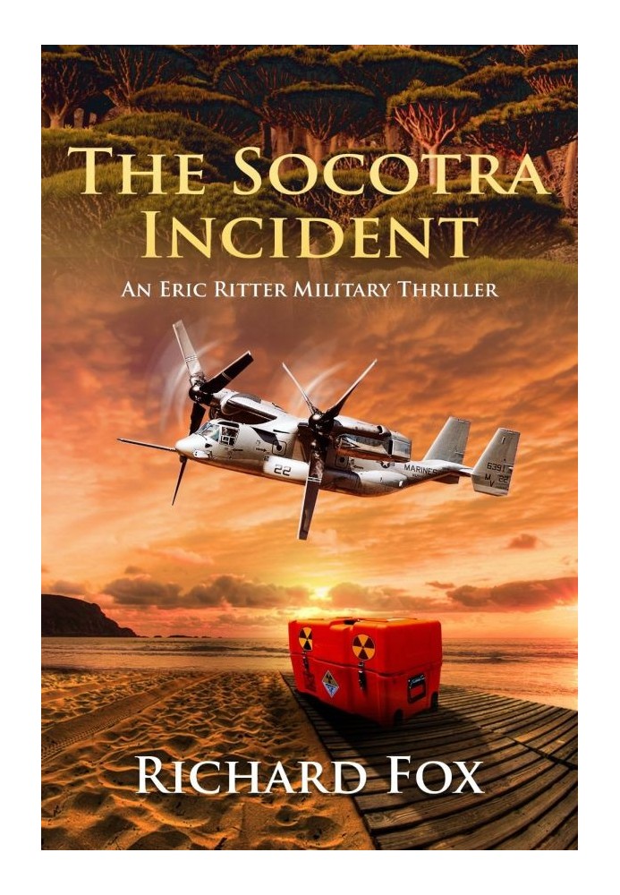 The Socotra Incident