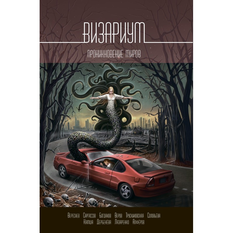 Визариум. Проникновение миров
