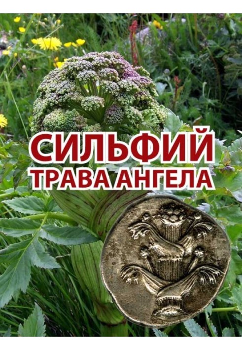 Сильфий - трава ангела