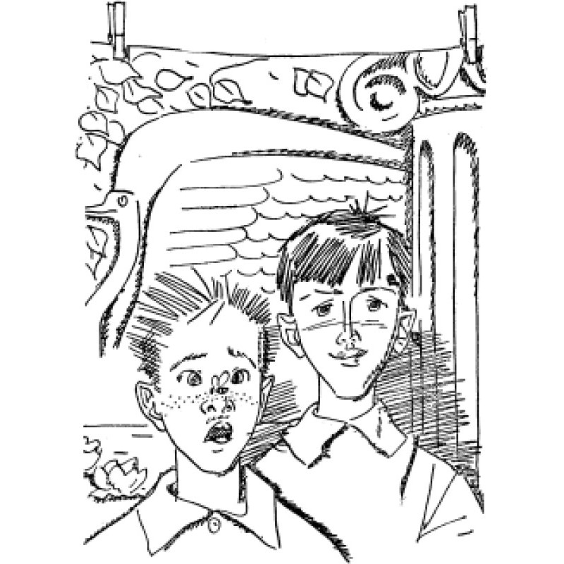 The Extraordinary...