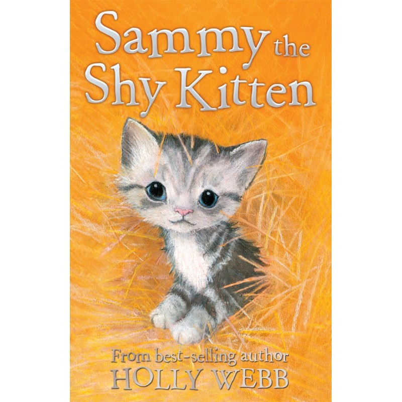 Sammy The Shy Kitten