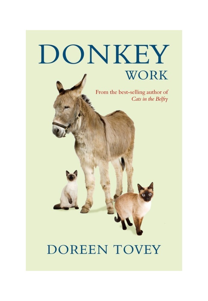 Donkey Work