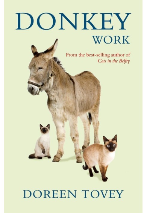 Donkey Work