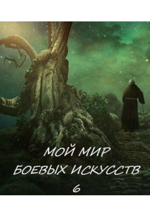 Мой мир боевых искусств 6