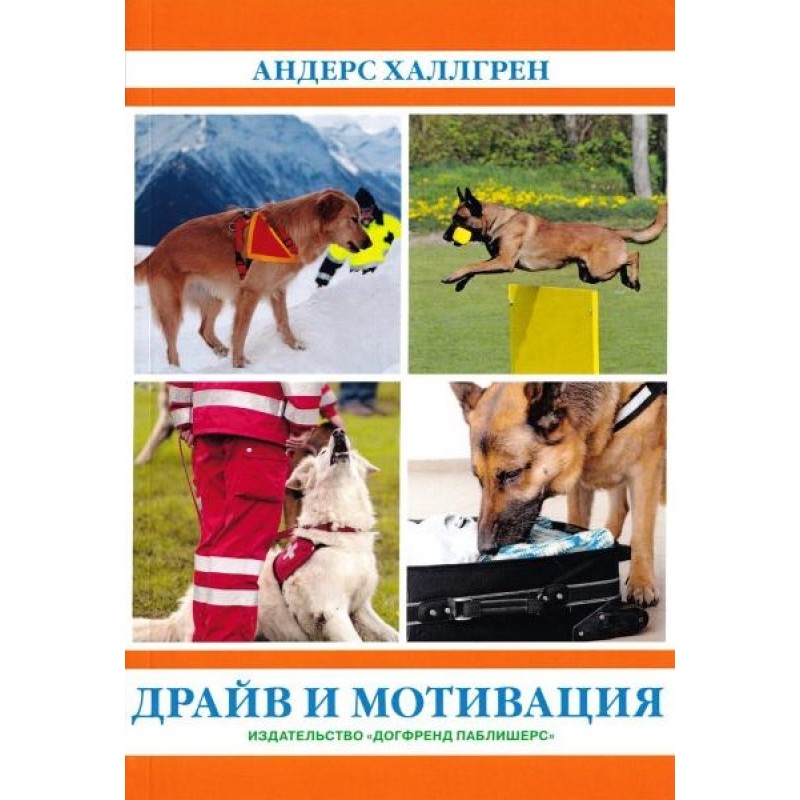 Драйв та мотивація