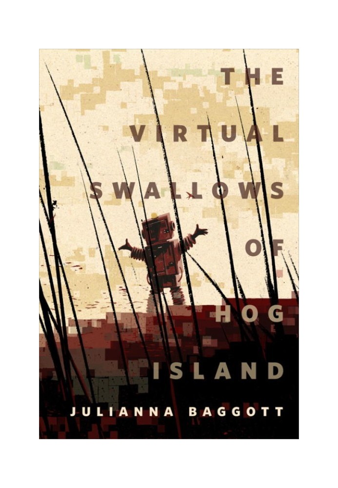 The Virtual Swallows of Hog Island