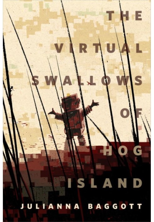 The Virtual Swallows of Hog Island