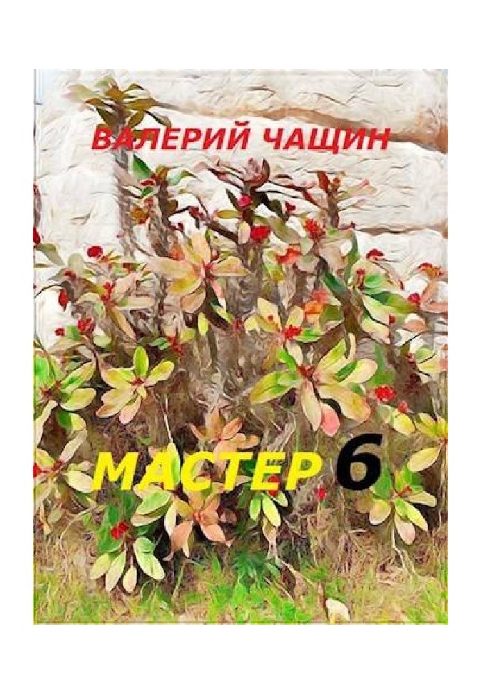 Мастер 6