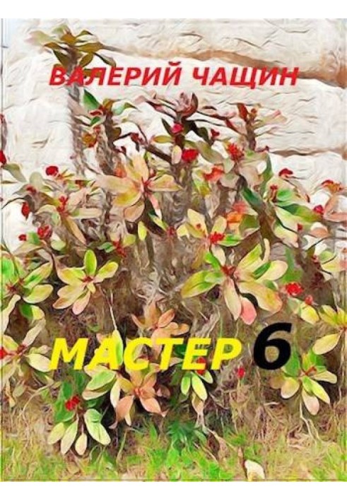 Мастер 6