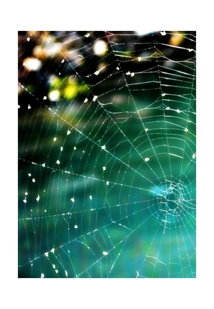 In the web of my soul