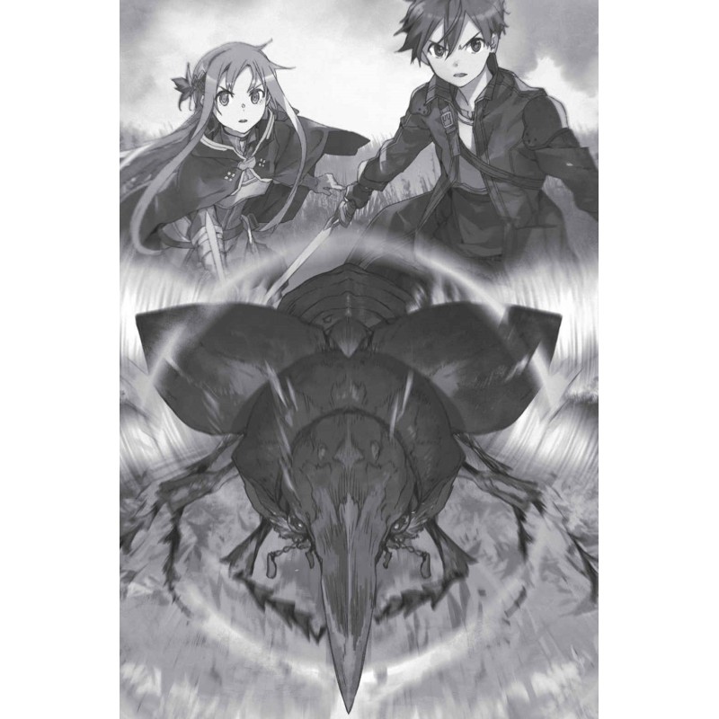 Sword Art Online...