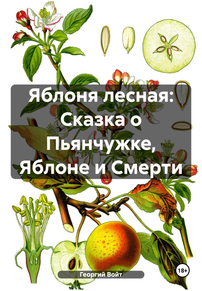 Яблуня лісова: Казка про П'янчужку, Яблуня та Смерть