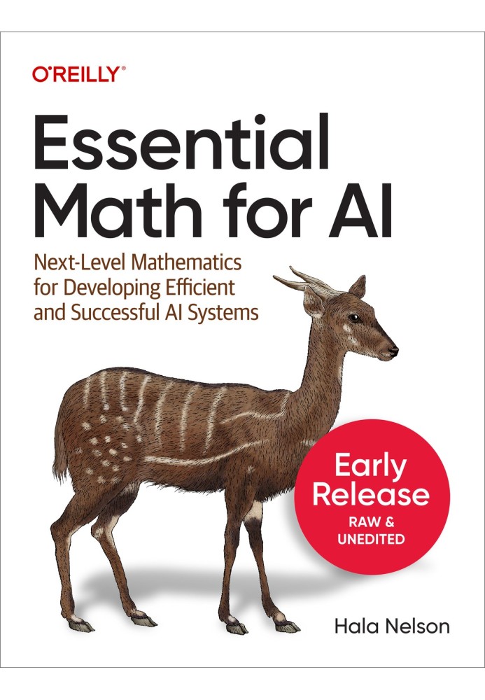 Essential Math For AI. Next-Level Mathematics for Efficient and Successful AI Systems