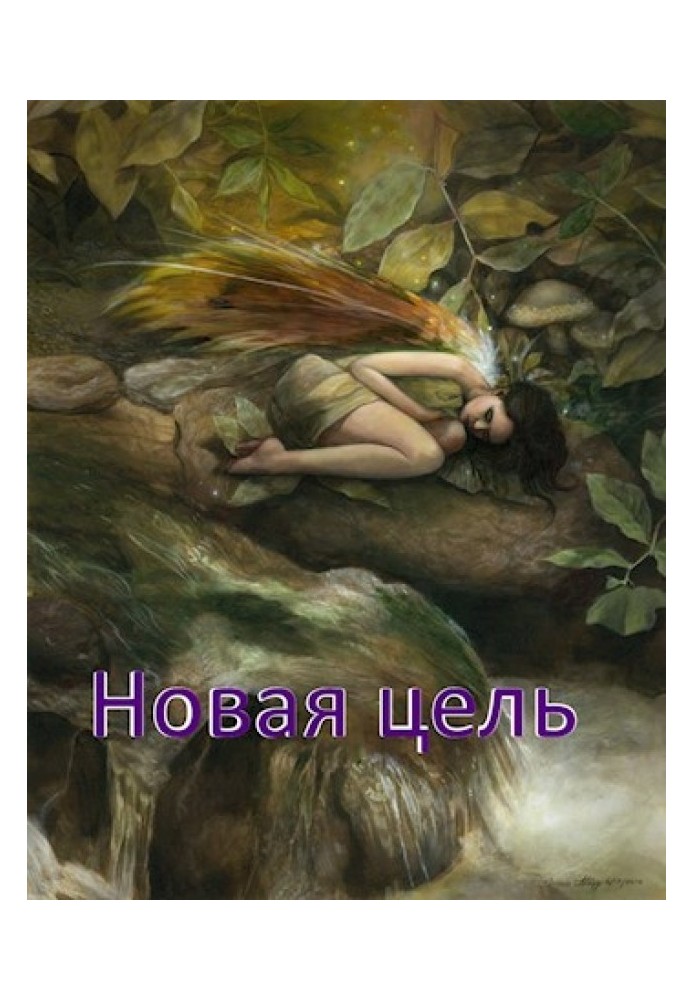 Новая цель